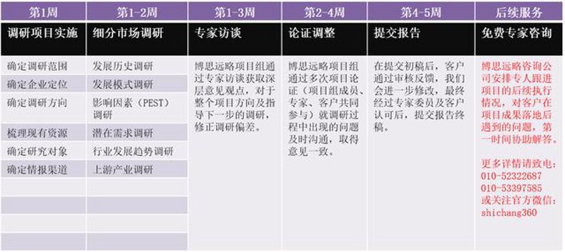 上海信息咨询行业动态概览